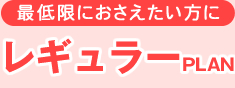 レギュラープラン